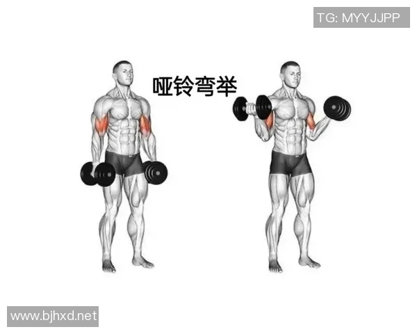 探索哑铃多重训练的科学与技巧提升健身效果的最佳方法